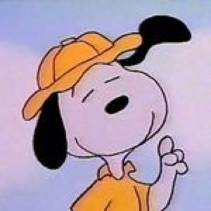 Meet your Posher, Dominique